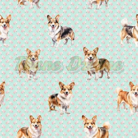 TKANINA DRUKOWANY PSY- CORGI NR 3