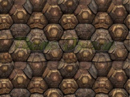 TKANINA DRUKOWANY MOZAIKA- SKORUPA ŻÓŁWIA NR 1