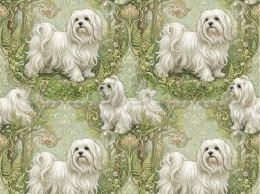 TKANINA DRUKOWANY PSY- MALTAŃCZYK NR 3