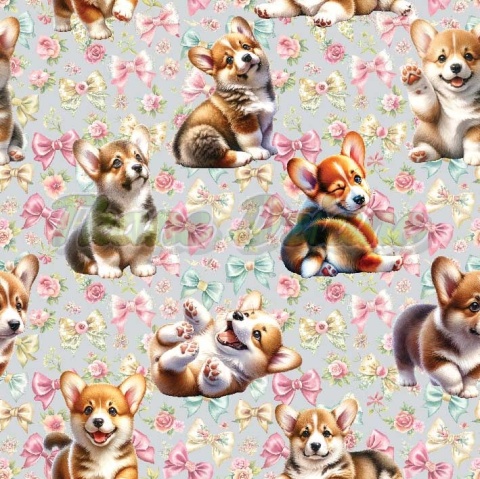 TKANINA DRUKOWANY PSY- CORGI NR 26