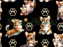TKANINA DRUKOWANY PSY- CORGI NR 27