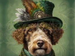 PANEL DRUKOWANY PSY W KAPELUSZCH- LAGOTTO ROMAGNIOLO NR 32