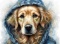PANEL DRUKOWANY GOLDEN RETRIVER W KAPTURZE NR 7