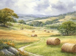 PANEL DRUKOWANY COUNTRY NR 2