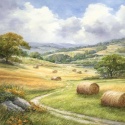 PANEL DRUKOWANY COUNTRY NR 2