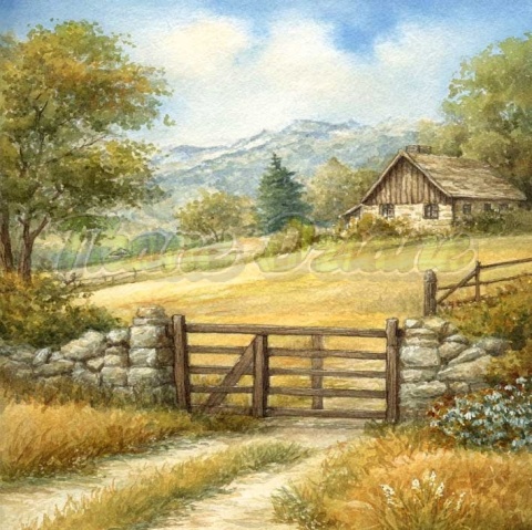 PANEL DRUKOWANY COUNTRY NR 5
