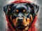 PANEL DRUKOWANY ROTTWEILER W KAPTURZE NR 10