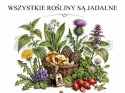 PANEL DRUKOWANY GRZYBY NR 15