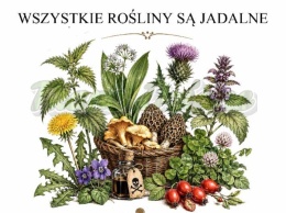 PANEL DRUKOWANY GRZYBY NR 15