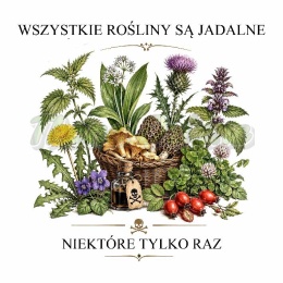 PANEL DRUKOWANY GRZYBY NR 15