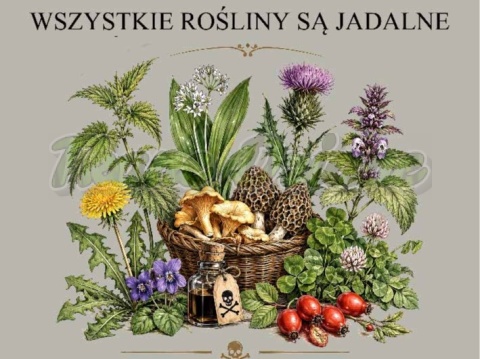 PANEL DRUKOWANY GRZYBY NR 16