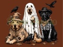 PANEL DRUKOWANY HALLOWEEN NR 40