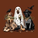 PANEL DRUKOWANY HALLOWEEN NR 40
