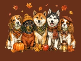 PANEL DRUKOWANY HALLOWEEN NR 41