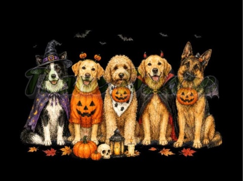PANEL DRUKOWANY HALLOWEEN NR 42