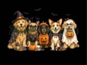 PANEL DRUKOWANY HALLOWEEN NR 43