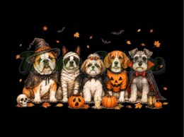 PANEL DRUKOWANY HALLOWEEN NR 45